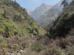 -碧峰峡风景区