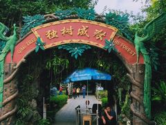 -瑞丽独树成林风景区