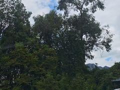 -丽江三义国际机场