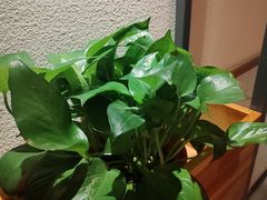 -胡家大厨(西三庄店)