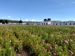 -坝上草原大汗行宫旅游景区