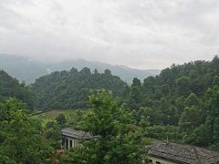 -云山九里度假酒店蝶庐阁中餐厅