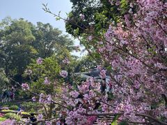 -广州市白云山风景名胜区