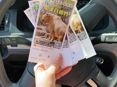 -秦皇岛野生动物园