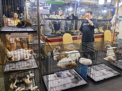 -尚泰清迈机场购物中心