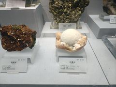 -湖南省地质博物馆