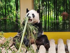 -杭州野生动物世界