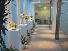 -爱氧森林·日本兴百世SHENPIX微高压氧舱