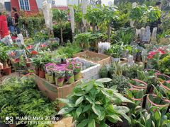 -三圣花乡旅游区