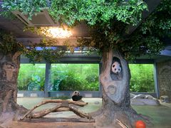 -海南热带野生动植物园