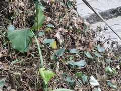 -水濂山森林公园