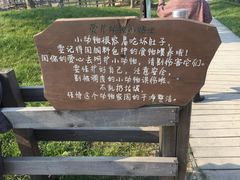-田园东方蜜桃村的田野营地