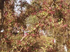 -元大都城垣遗址公园