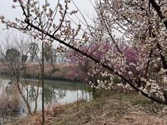 -良渚古城遗址公园