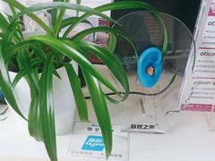 -自然之声助听器·呼吸机(公园路店)