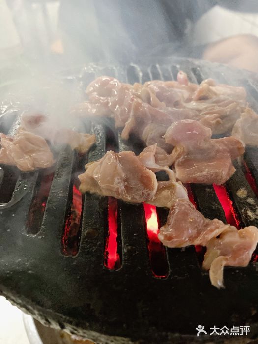 大槐树烤肉馆鸡胗图片