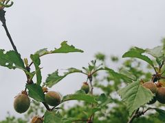 -滨河世纪广场公园