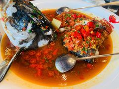 千岛湖有机胖头鱼-魏铭鱼头捞饭(晋阳路店)