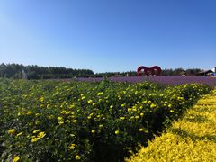 -北纬44度·金珠花海休闲农业旅游景区