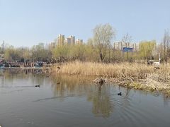 -前关湿地公园
