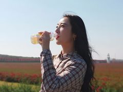 -南京枫彩漫城