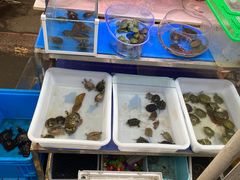 -曲阳花鸟市场(曲阳路店)