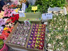 -循礼门鲜花花市(武汉循礼门店)