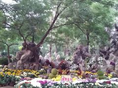 -文瀛公园