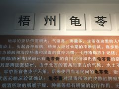 -梧州双钱龟苓膏(丽港航母店)