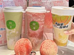 -树夏(建设路店)