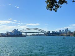 -麦考利夫人座椅