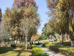 -厦门大学(思明校区)