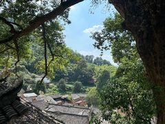 -杨家堂村