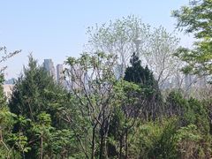 -南翠屏公园