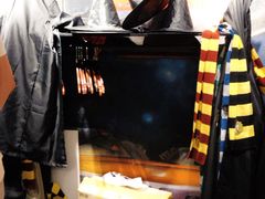 -MC精品真人密室逃脱(星游城店)