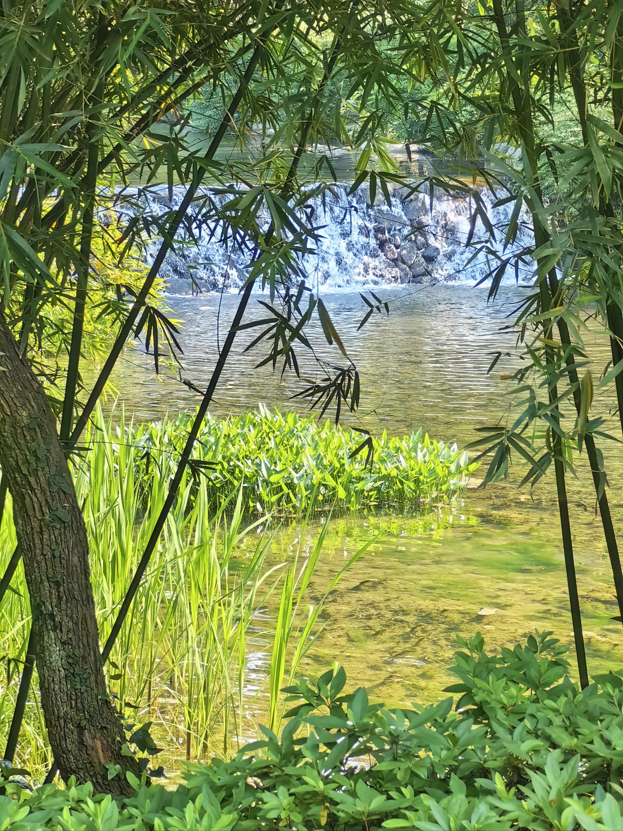 玩转杭州|浴鹄湾(乌龟潭)景区