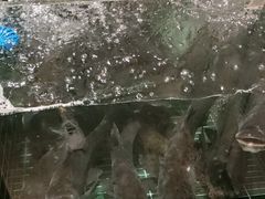 -黄山老妈·土菜(碧桂园店)