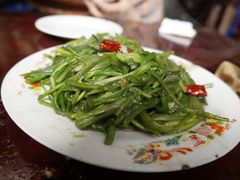 炒海菜-苍洱春饭店