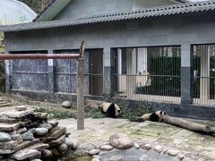 -碧峰峡风景区