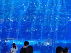 -成都浩海立方海洋公园