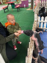 -萌宠亲子动物乐园(槐房万达店)