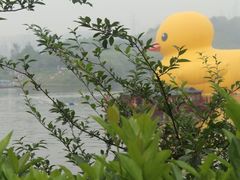 -重庆园博园