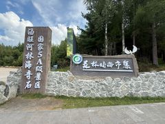 -汤旺河林海奇石景区