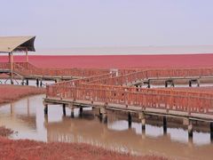 -红海滩国家风景廊道