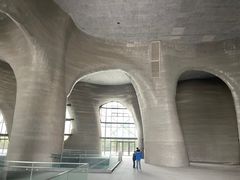 -证大喜玛拉雅中心