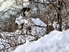 -崂山巨峰游览区