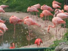 -石家庄市动物园