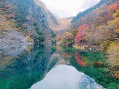 -叠溪松坪沟景区