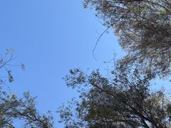 -元谋土林景区(物茂土林)