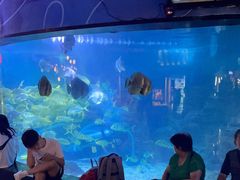 -烟台海昌鲸鲨海洋公园